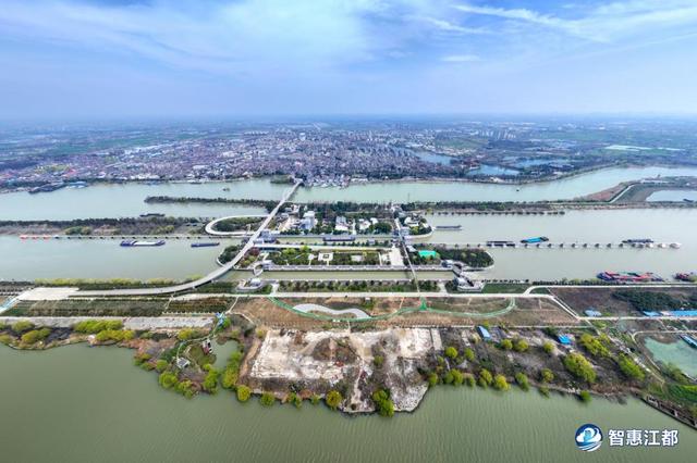 热力全开，奔跑不止！江都镇（园区）、部门领导这一周