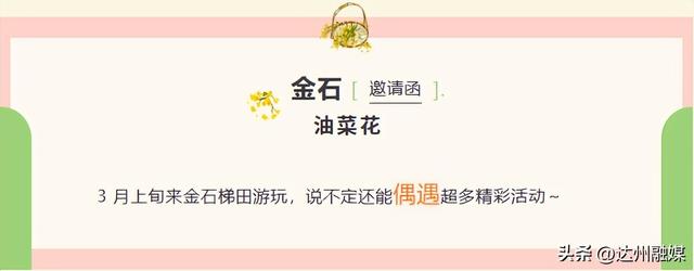 花海赴春光，金浪满通川！金石梯田万亩油菜花海邀你共赴春约