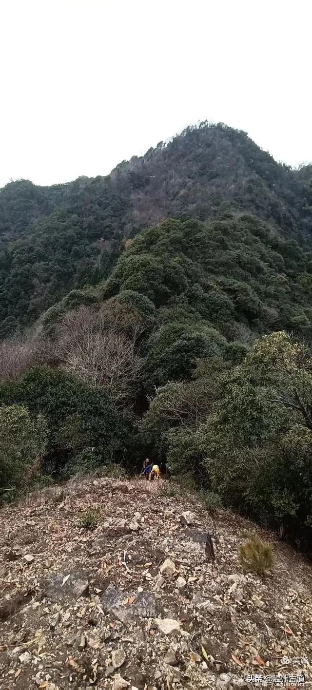 五次试走，终于揭开楠溪江源头永仙边界这条防火道的神秘面纱！