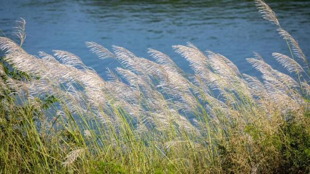 怀集的四季！带你回顾，带你深入