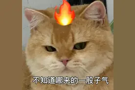 宁波知名共享电动车骑到一半就断电，网友质疑：此举为收调度费？图片