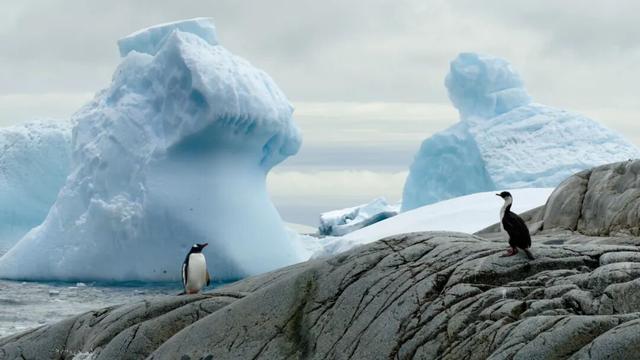 一生一次，2027年出发！41天南极半岛包船登陆，南美4国狂野自驾