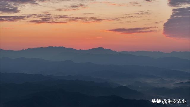 广西融安：朝霞晨雾绘山村美景