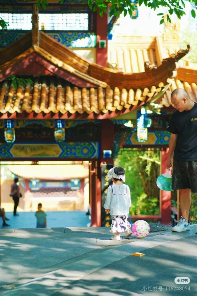 周末就冲！成都出发40min直达浪漫小城，喂海鸥逛古寺！