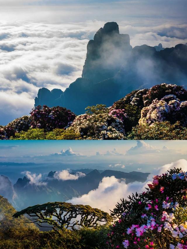 速来打卡!2025 金秀盘王节,解锁瑶族文化狂欢新姿势