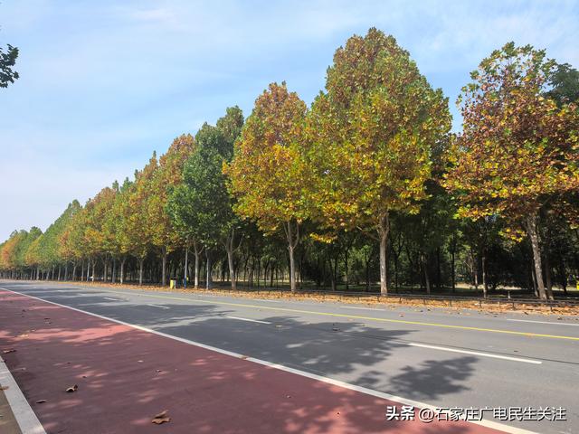 十一漫游滹沱河：乘滹沱河观光线，赴一场河湖与秋风的约会