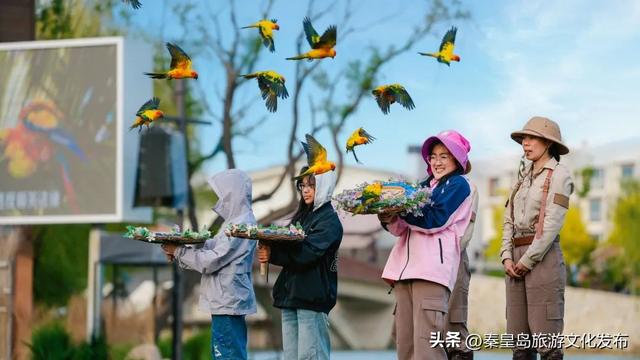 秦皇岛渔田七里海度假区暑假首刷必看！全天游玩攻略已备好，放心冲！