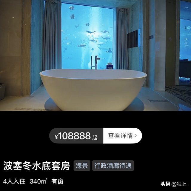 伊能静住酒店10万一晚，一边泡澡一边看海洋动物，贫穷限制了想象
