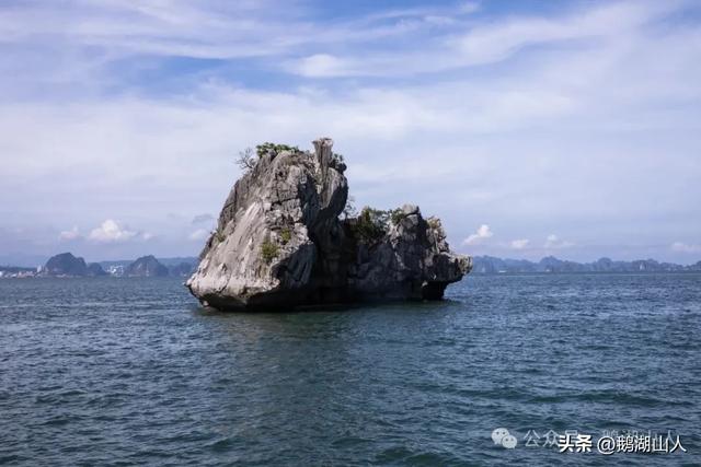 海上奇观的震撼和生命悲剧的沉思