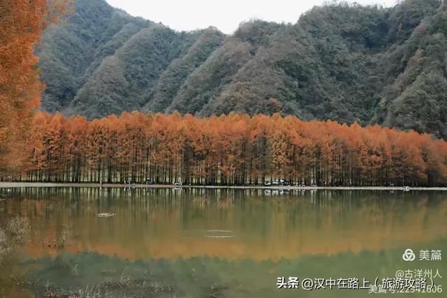 龙池秋色惹人醉