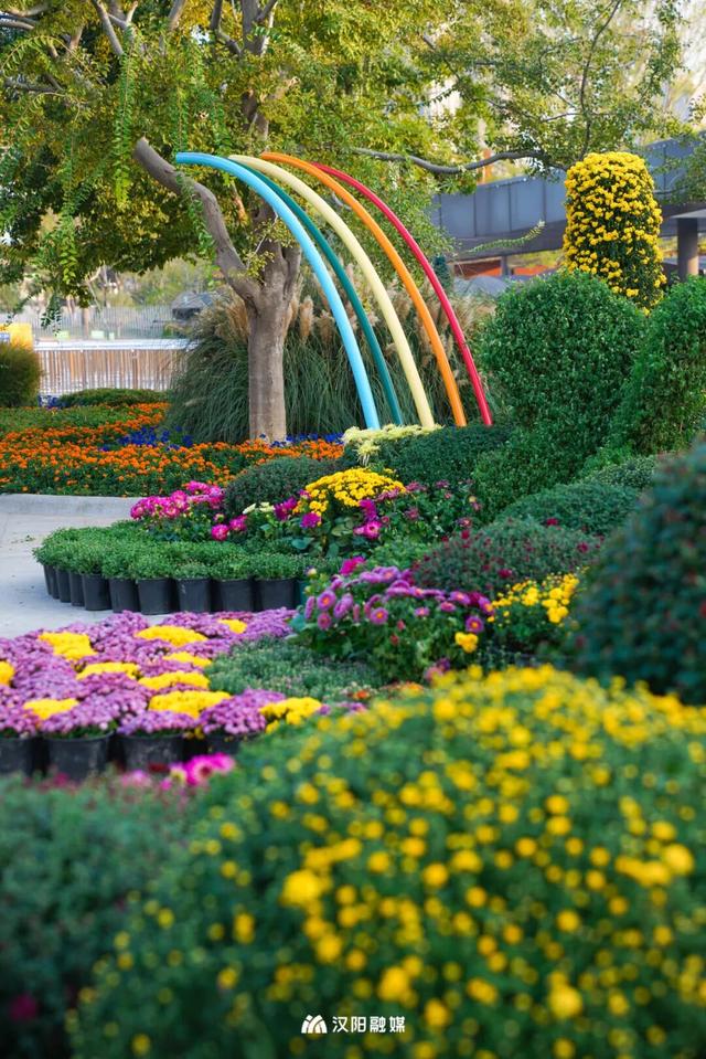 汉阳秋游隐藏副本：逛童话世界，刷个顶流花展