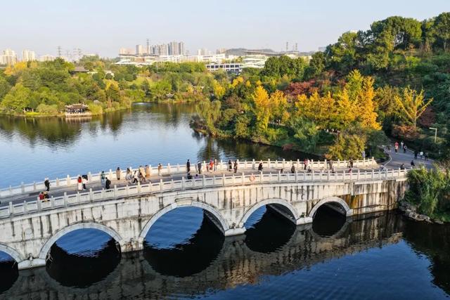 重庆园博园美出新高度！随手一拍都超超超出片→