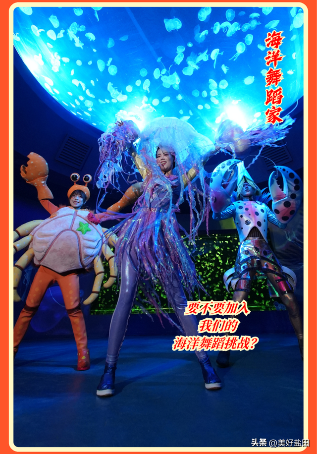 最后1天！小梅沙特惠门票+必玩攻略，速看！