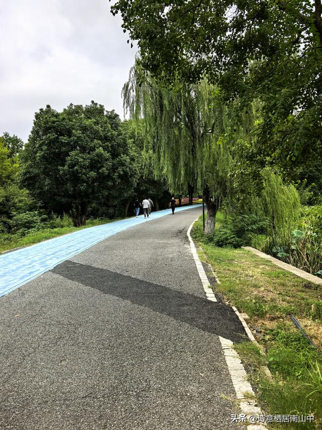 2025后官湖绿道骑行:大环湖失败，多处截断，对岸更无路！