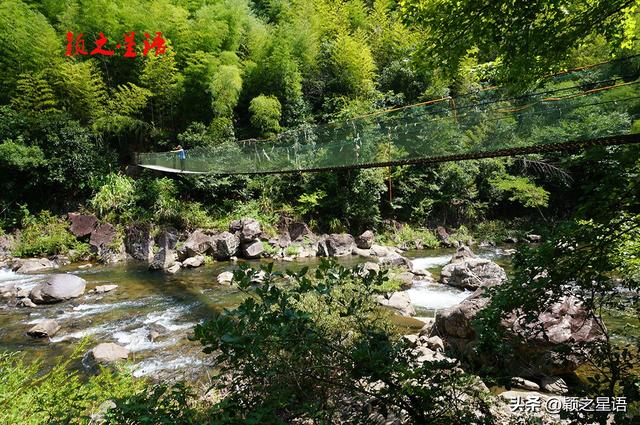 清水溪露营基地，躺漂快乐，可知网红吊桥暗藏风险？