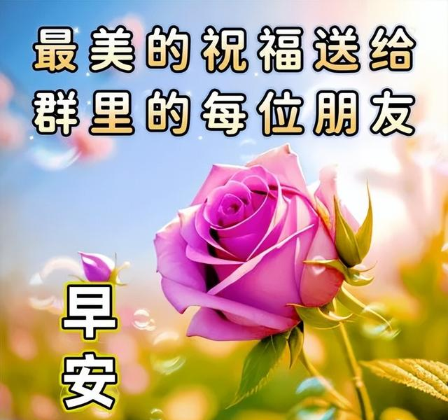 早安祝福语短句暖心，清晨祝福带字唯美图片，祝你幸福安康吉祥