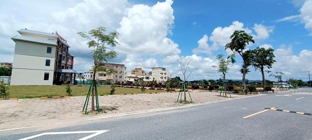 阳东金村风景