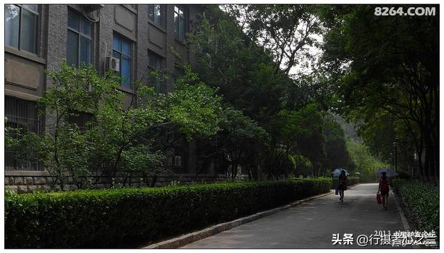 山东行游影记（14）—济南山东大学（一）
