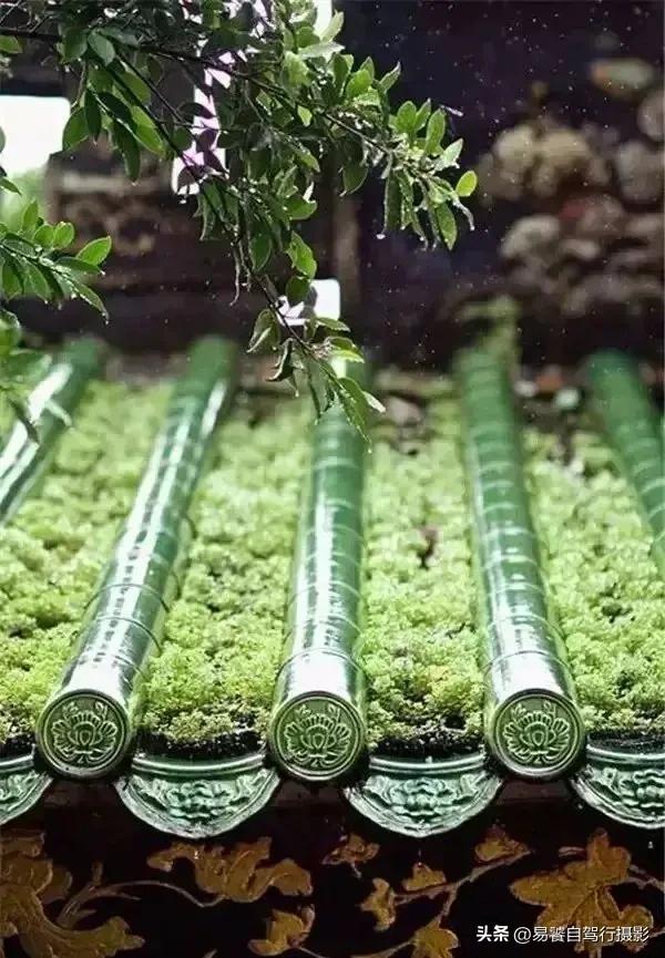 震撼！故宫瓦当，紫禁城守望者；中式美学老屋瓦当 只有中国人才懂