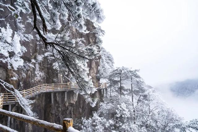绝美！明月山今日雪景持续放送，速来打卡！
