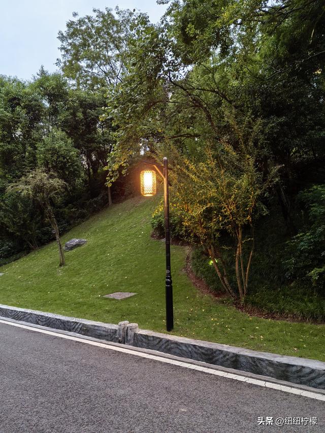 桂香袭来，在秀湖公园闻花香，读一读杜甫的诗，在亲水步道走一走