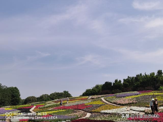 我的2025~实现了由自驾游为“自驾旅居”游的转变
