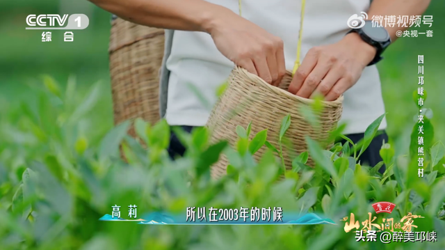 看完《山水间的家》，一人说一个爱上夹关镇的理由！