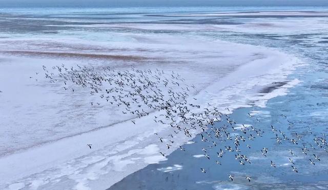 乘着高铁游威海 | 下一站，文登！