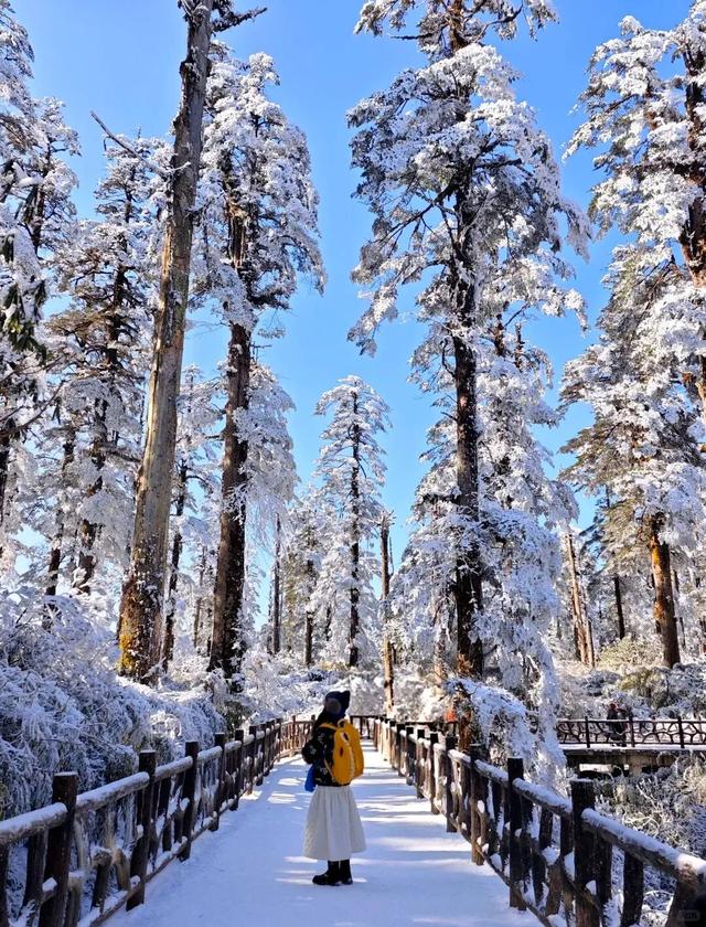 太好了是瓦屋山的雪，我们南方孩子又快乐了！