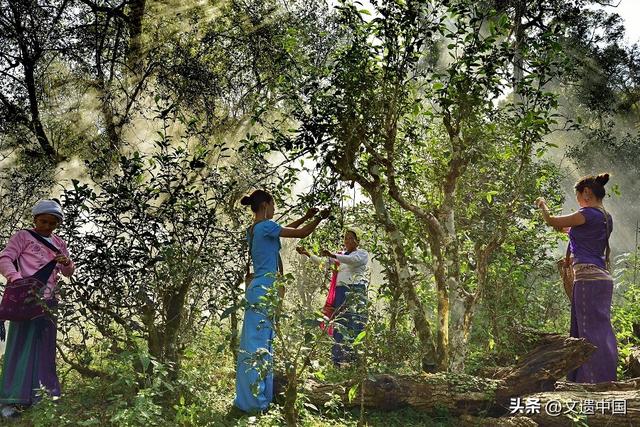 看一看，世界文化遗产委员会如何高度赞赏中国六大世界文化景观？