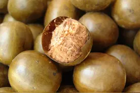 降火强过百合，滋阴银耳不如它，用它煮水，对抗咳嗽鼻塞流鼻涕图片