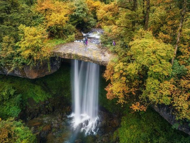 免票！5折！2025秋假大礼包特惠来啦！多重惊喜等你解锁→