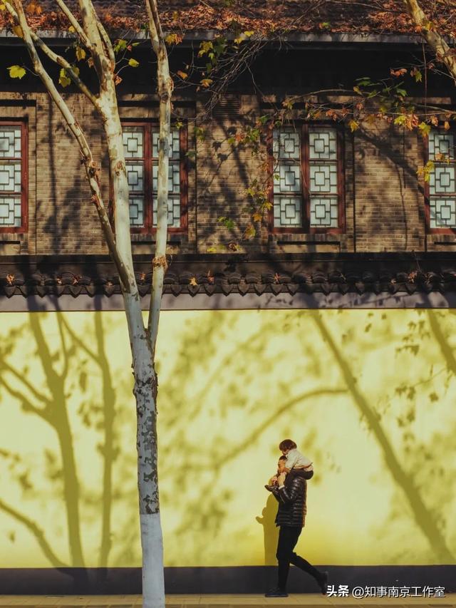 51张照片告诉你，南京的秋天有多美！