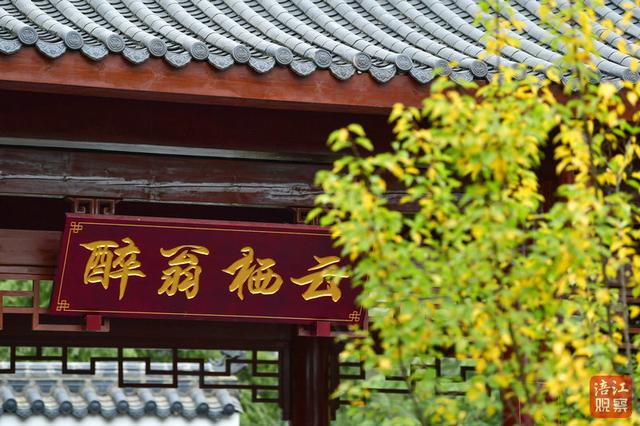 一“叶”知冬来！漫步仿古园林，解锁初冬浪漫
