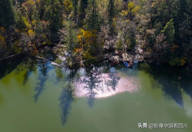 四川九寨沟：甲勿池金秋好风光