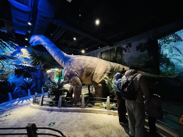 一路生花！世界级旅游目的地“崛起记”