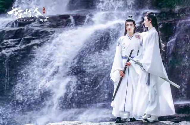 守寡20年的仙门寡妇，竟在雷劫夜生下仇敌转世的灵胎