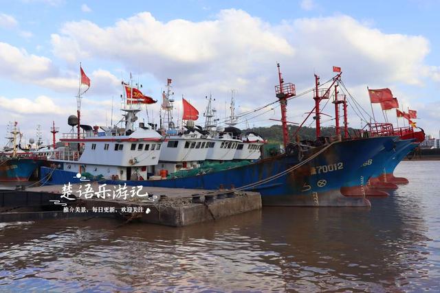 宁波镇海的沿江景观带，没有粉黛花海但是景色很美，非常值得游玩