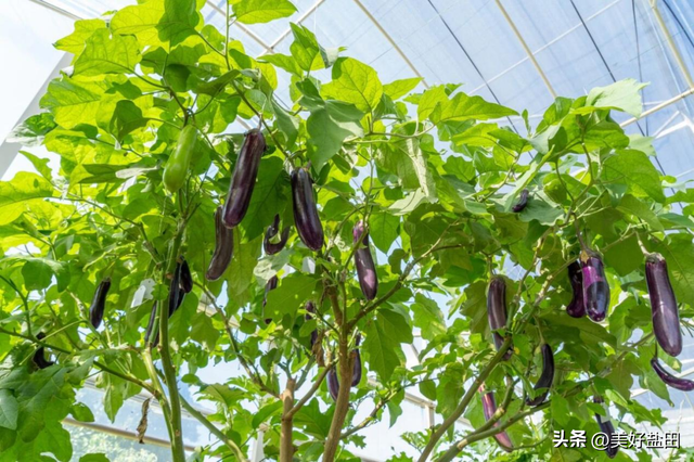 想去！华大时空中心遛娃攻略来啦！