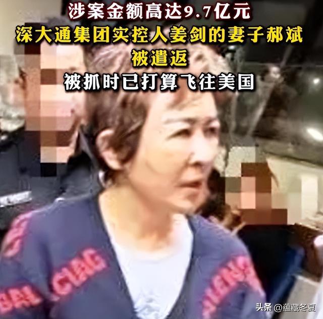 又揪出来一个巨贪，金额高达9.7亿，首富夫人郝斌跨境逃亡失败了