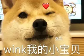 狗界智商排行榜，第一名是边境牧羊犬，第三名是它？图片