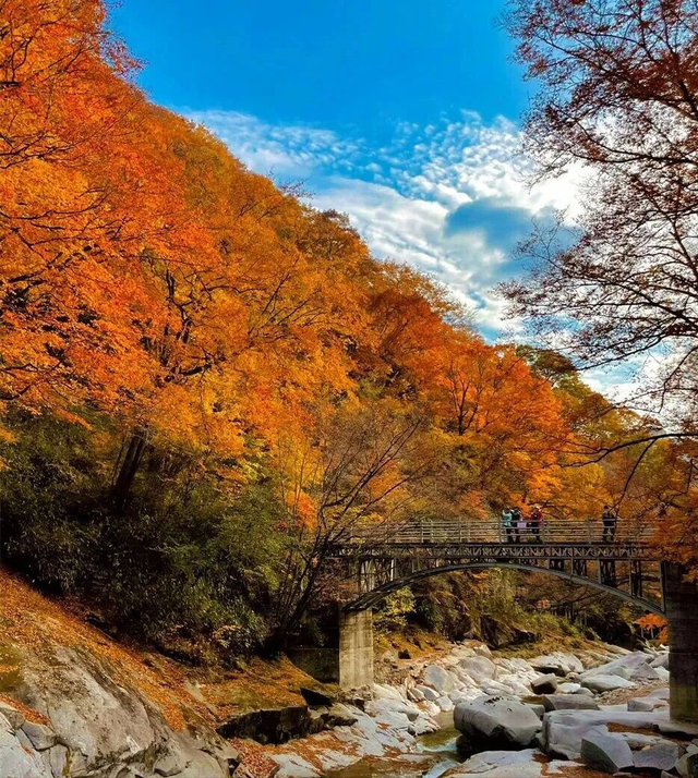 中国最美秋色！适合9月、10月、11月出行的6个赏秋旅行地，找个假期，避开人潮，自驾去看斑斓秋意吧！