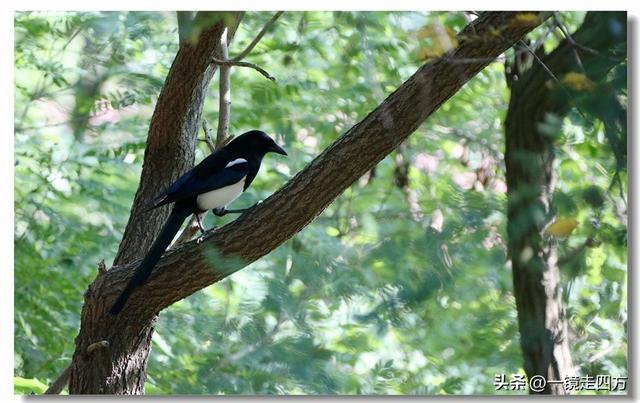 大连滨海路终点的海之韵公园