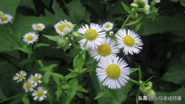 绵阳千佛山爬山笔记