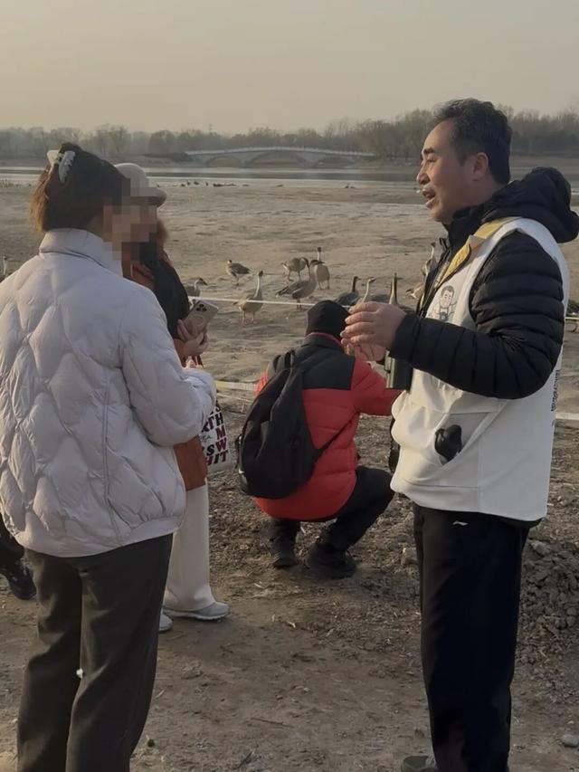 北京南海子公园有游客投喂鸿雁……“别再喂了”“再喂，就飞不了了”