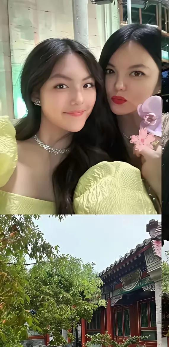 李湘晒北京小院，这应是她的房产之一吧，女儿王诗龄是唯一继承人
