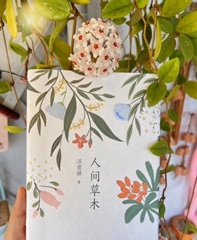 阴花不能进阳宅！这5种花“打死”也不养，家里若有？快挪走！
