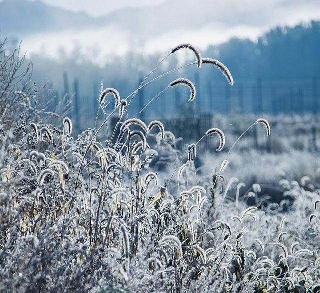 今冬最冷时间表已落定，何时最冷？2026年春节冷不冷？了解一下！