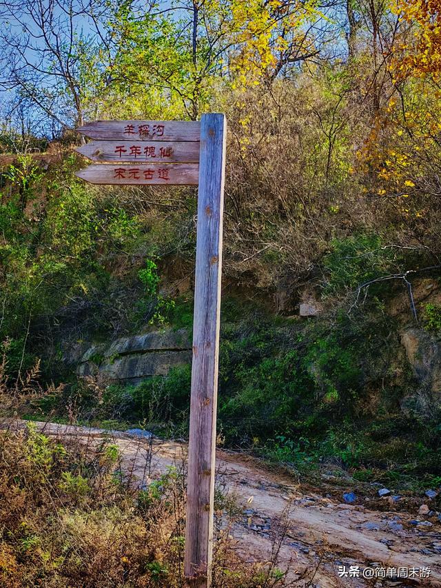 17）初冬暖阳里的16公里奔赴！济源黄河三峡藏着北方的“千岛湖”