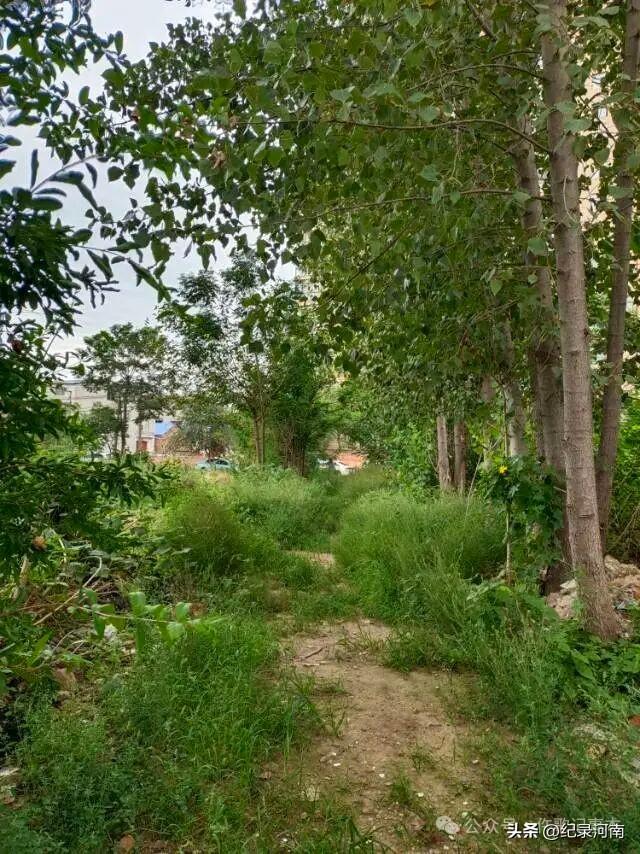 商丘市历史上小铁路